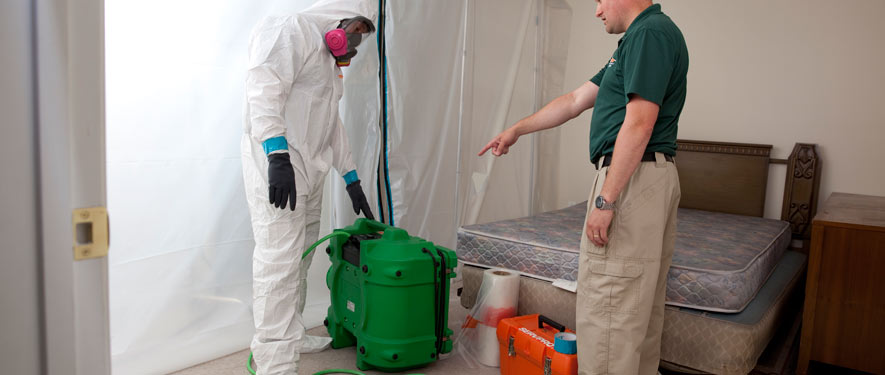 The Villages, FL mold removal process